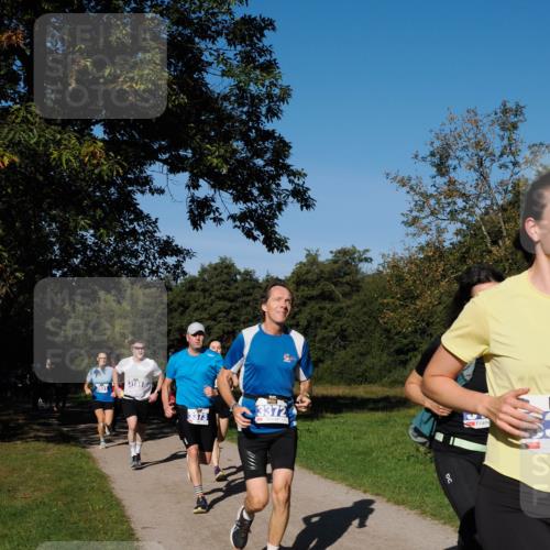28.09.2025 - 33. Volkslauf durch das schöne Alstertal Fabian Wolf http://msf.ph/oto/8980022 28.09.2025 10:34:52 Laufen 3188, 373, 3372 meine-sportfotos.de