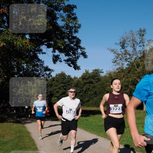 28.09.2025 - 33. Volkslauf durch das schöne Alstertal Fabian Wolf http://msf.ph/oto/8980042 28.09.2025 10:34:54 Laufen 3931, 3188, 3223 meine-sportfotos.de