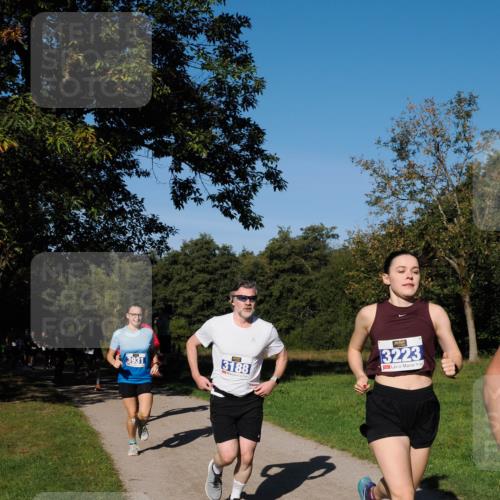 28.09.2025 - 33. Volkslauf durch das schöne Alstertal Fabian Wolf http://msf.ph/oto/8980043 28.09.2025 10:34:54 Laufen 3931, 3188, 3223 meine-sportfotos.de