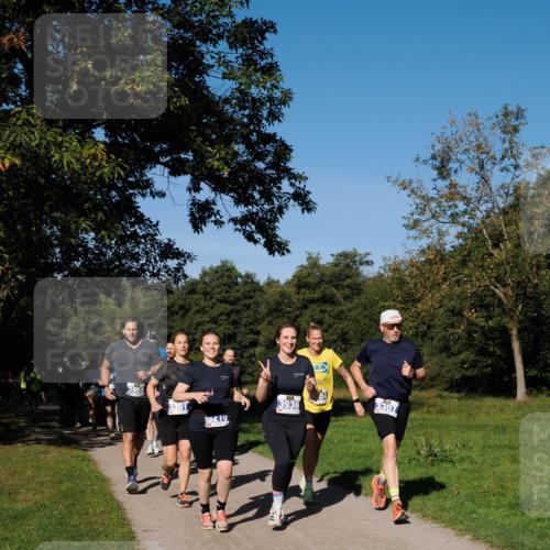 28.09.2025 - 33. Volkslauf durch das schöne Alstertal Fabian Wolf http://msf.ph/oto/8980071 28.09.2025 10:35:04 Laufen 3959, 3351, 3936, 5210 meine-sportfotos.de