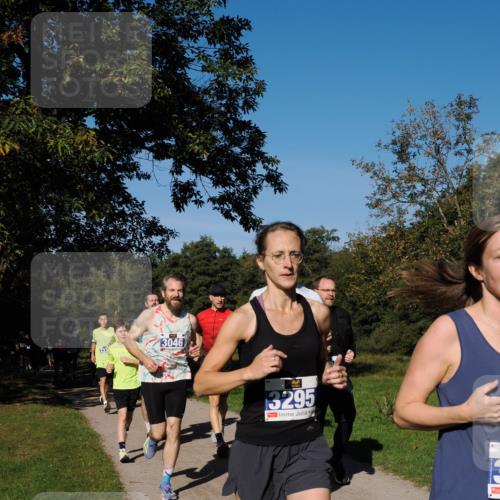 28.09.2025 - 33. Volkslauf durch das schöne Alstertal Fabian Wolf http://msf.ph/oto/8980118 28.09.2025 10:35:11 Laufen 3046, 3295 meine-sportfotos.de