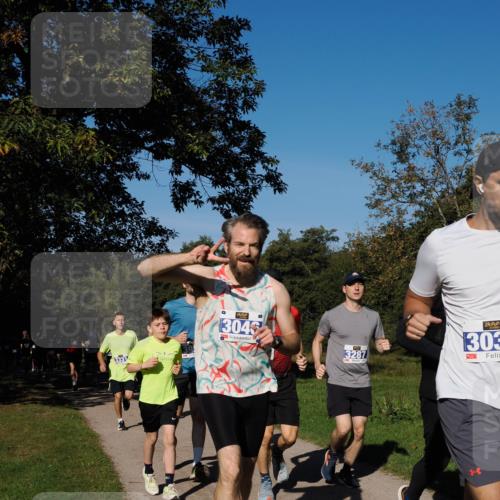 28.09.2025 - 33. Volkslauf durch das schöne Alstertal Fabian Wolf http://msf.ph/oto/8980127 28.09.2025 10:35:12 Laufen 3331, 304, 303, 3287, 1 meine-sportfotos.de