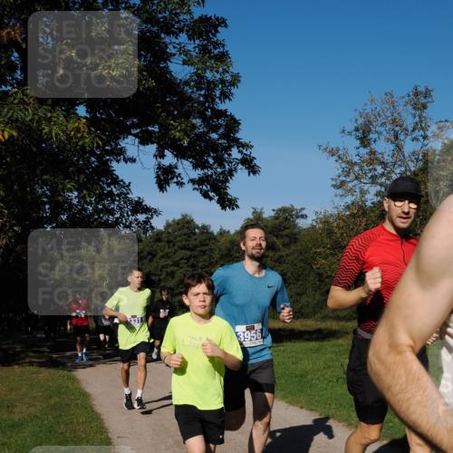28.09.2025 - 33. Volkslauf durch das schöne Alstertal Fabian Wolf http://msf.ph/oto/8980136 28.09.2025 10:35:13 Laufen 3956 meine-sportfotos.de