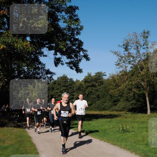 28.09.2025 - 33. Volkslauf durch das schöne Alstertal Fabian Wolf http://msf.ph/oto/8980211 28.09.2025 10:35:27 Laufen 3278, 3313, 3344, 3930 meine-sportfotos.de