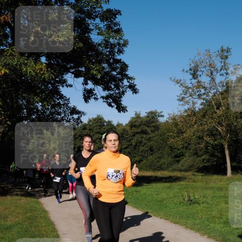 28.09.2025 - 33. Volkslauf durch das schöne Alstertal Fabian Wolf http://msf.ph/oto/8980324 28.09.2025 10:35:41 Laufen 3236 meine-sportfotos.de