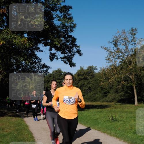 28.09.2025 - 33. Volkslauf durch das schöne Alstertal Fabian Wolf http://msf.ph/oto/8980325 28.09.2025 10:35:41 Laufen 3236, 3177 meine-sportfotos.de