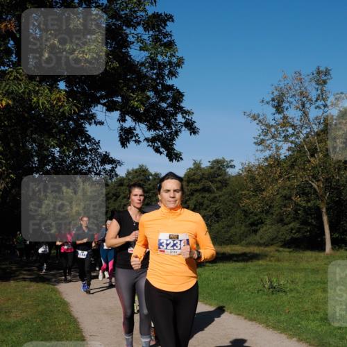 28.09.2025 - 33. Volkslauf durch das schöne Alstertal Fabian Wolf http://msf.ph/oto/8980326 28.09.2025 10:35:41 Laufen 3177, 3236 meine-sportfotos.de