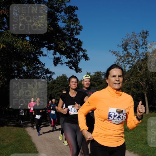 28.09.2025 - 33. Volkslauf durch das schöne Alstertal Fabian Wolf http://msf.ph/oto/8980331 28.09.2025 10:35:41 Laufen 3177, 305, 3236 meine-sportfotos.de
