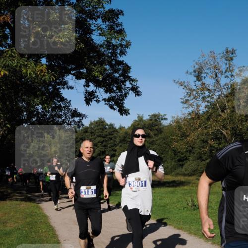 28.09.2025 - 33. Volkslauf durch das schöne Alstertal Fabian Wolf http://msf.ph/oto/8980375 28.09.2025 10:35:47 Laufen 120, 3181, 115, 3901 meine-sportfotos.de