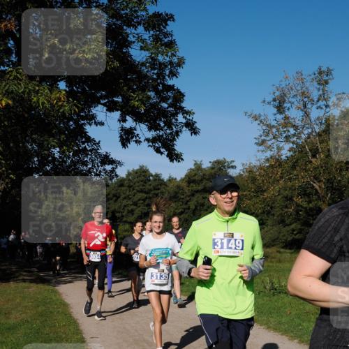 28.09.2025 - 33. Volkslauf durch das schöne Alstertal Fabian Wolf http://msf.ph/oto/8980400 28.09.2025 10:35:53 Laufen 3034, 3135, 3149 meine-sportfotos.de