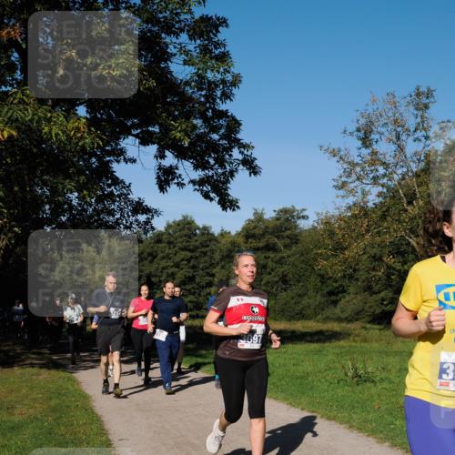 28.09.2025 - 33. Volkslauf durch das schöne Alstertal Fabian Wolf http://msf.ph/oto/8980424 28.09.2025 10:35:56 Laufen 305, 3199, 3097, 39 meine-sportfotos.de