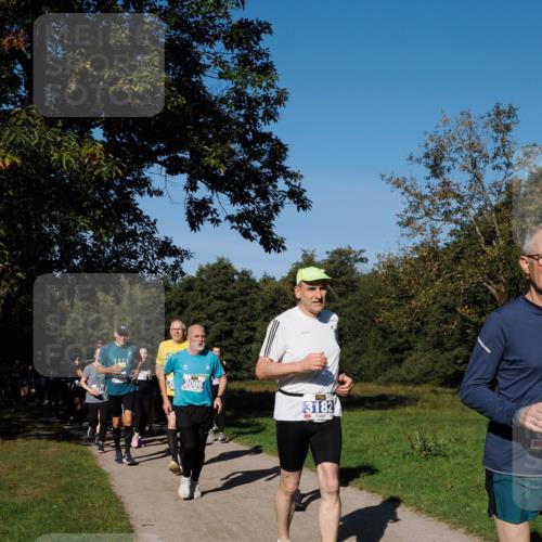 28.09.2025 - 33. Volkslauf durch das schöne Alstertal Fabian Wolf http://msf.ph/oto/8980523 28.09.2025 10:36:11 Laufen 3, 3086, 3182 meine-sportfotos.de