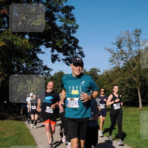 28.09.2025 - 33. Volkslauf durch das schöne Alstertal Fabian Wolf http://msf.ph/oto/8980543 28.09.2025 10:36:15 Laufen 2025, 3195, 3405, 3003, 3022, 3242 meine-sportfotos.de