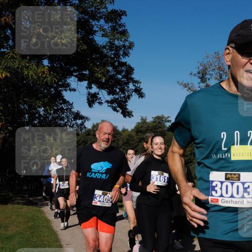 28.09.2025 - 33. Volkslauf durch das schöne Alstertal Fabian Wolf http://msf.ph/oto/8980551 28.09.2025 10:36:15 Laufen 3195, 3405, 3161, 202, 39, 3003 meine-sportfotos.de