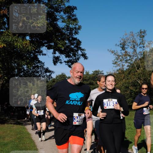 28.09.2025 - 33. Volkslauf durch das schöne Alstertal Fabian Wolf http://msf.ph/oto/8980554 28.09.2025 10:36:16 Laufen 3195, 3405, 316, 302 meine-sportfotos.de