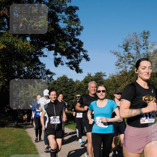 28.09.2025 - 33. Volkslauf durch das schöne Alstertal Fabian Wolf http://msf.ph/oto/8980564 28.09.2025 10:36:17 Laufen 3195, 3216, 332, 13129 meine-sportfotos.de