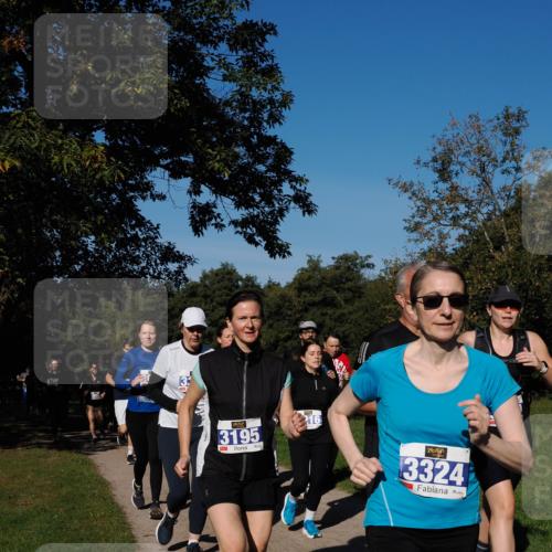 28.09.2025 - 33. Volkslauf durch das schöne Alstertal Fabian Wolf http://msf.ph/oto/8980569 28.09.2025 10:36:18 Laufen 3195, 16, 3324 meine-sportfotos.de