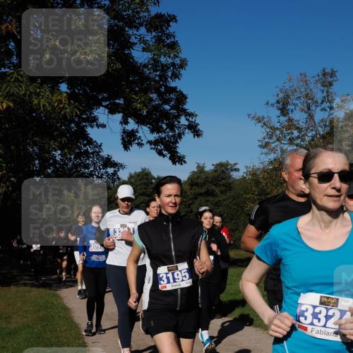 28.09.2025 - 33. Volkslauf durch das schöne Alstertal Fabian Wolf http://msf.ph/oto/8980571 28.09.2025 10:36:18 Laufen 3377, 309, 3195, 332 meine-sportfotos.de