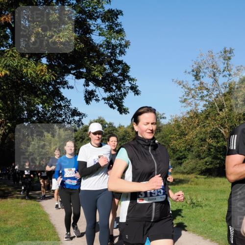 28.09.2025 - 33. Volkslauf durch das schöne Alstertal Fabian Wolf http://msf.ph/oto/8980574 28.09.2025 10:36:18 Laufen 3095, 15195 meine-sportfotos.de
