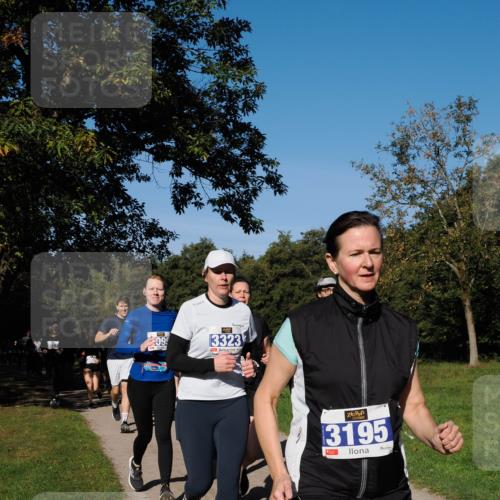 28.09.2025 - 33. Volkslauf durch das schöne Alstertal Fabian Wolf http://msf.ph/oto/8980576 28.09.2025 10:36:18 Laufen 09, 3323, 3195 meine-sportfotos.de