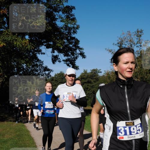 28.09.2025 - 33. Volkslauf durch das schöne Alstertal Fabian Wolf http://msf.ph/oto/8980578 28.09.2025 10:36:19 Laufen 397, 3095, 33, 342, 3195 meine-sportfotos.de