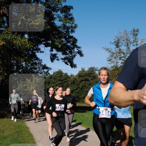 28.09.2025 - 33. Volkslauf durch das schöne Alstertal Fabian Wolf http://msf.ph/oto/8980610 28.09.2025 10:36:22 Laufen 3377, 3404 meine-sportfotos.de