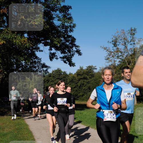 28.09.2025 - 33. Volkslauf durch das schöne Alstertal Fabian Wolf http://msf.ph/oto/8980611 28.09.2025 10:36:22 Laufen 3377, 3404, 3233 meine-sportfotos.de