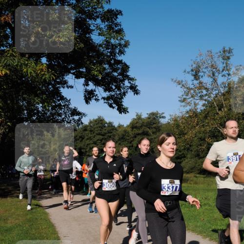 28.09.2025 - 33. Volkslauf durch das schöne Alstertal Fabian Wolf http://msf.ph/oto/8980612 28.09.2025 10:36:23 Laufen 3050, 3377, 391 meine-sportfotos.de
