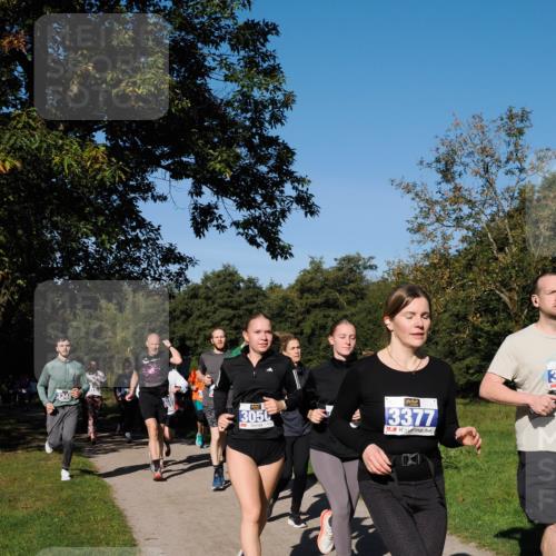 28.09.2025 - 33. Volkslauf durch das schöne Alstertal Fabian Wolf http://msf.ph/oto/8980613 28.09.2025 10:36:23 Laufen 3348, 3050, 3377 meine-sportfotos.de