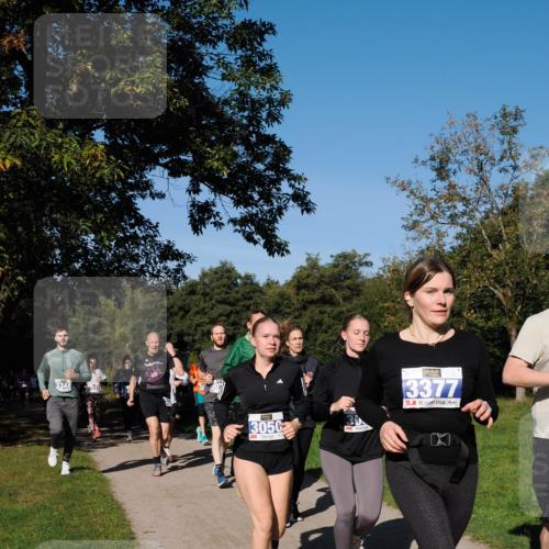 28.09.2025 - 33. Volkslauf durch das schöne Alstertal Fabian Wolf http://msf.ph/oto/8980614 28.09.2025 10:36:23 Laufen 3348, 3050, 3377 meine-sportfotos.de