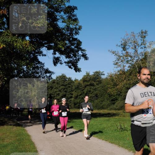 28.09.2025 - 33. Volkslauf durch das schöne Alstertal Fabian Wolf http://msf.ph/oto/8980673 28.09.2025 10:36:31 Laufen 323, 3338, 3397, 3237, 334 meine-sportfotos.de