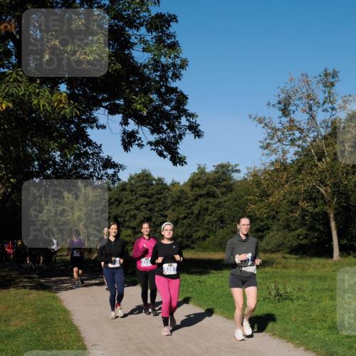 28.09.2025 - 33. Volkslauf durch das schöne Alstertal Fabian Wolf http://msf.ph/oto/8980674 28.09.2025 10:36:32 Laufen 3397 meine-sportfotos.de