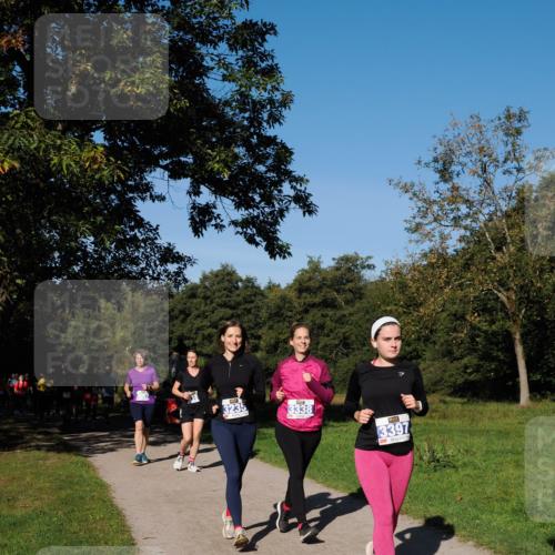 28.09.2025 - 33. Volkslauf durch das schöne Alstertal Fabian Wolf http://msf.ph/oto/8980683 28.09.2025 10:36:33 Laufen 3235, 3338, 3397 meine-sportfotos.de