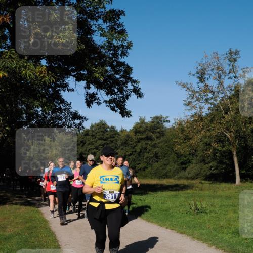 28.09.2025 - 33. Volkslauf durch das schöne Alstertal Fabian Wolf http://msf.ph/oto/8980742 28.09.2025 10:36:43 Laufen 3281, 3251, 3911 meine-sportfotos.de