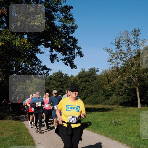 28.09.2025 - 33. Volkslauf durch das schöne Alstertal Fabian Wolf http://msf.ph/oto/8980745 28.09.2025 10:36:43 Laufen 3917 meine-sportfotos.de