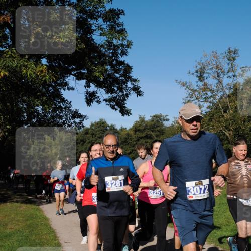 28.09.2025 - 33. Volkslauf durch das schöne Alstertal Fabian Wolf http://msf.ph/oto/8980763 28.09.2025 10:36:46 Laufen 126, 3281, 3251, 3072 meine-sportfotos.de