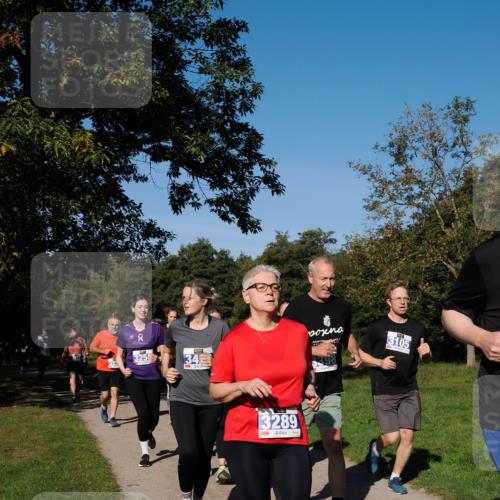 28.09.2025 - 33. Volkslauf durch das schöne Alstertal Fabian Wolf http://msf.ph/oto/8980807 28.09.2025 10:36:52 Laufen 2, 3258, 34, 3289, 3105 meine-sportfotos.de