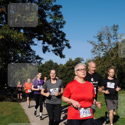 28.09.2025 - 33. Volkslauf durch das schöne Alstertal Fabian Wolf http://msf.ph/oto/8980809 28.09.2025 10:36:52 Laufen 3332, 3258, 3420, 3105, 3289 meine-sportfotos.de