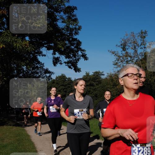 28.09.2025 - 33. Volkslauf durch das schöne Alstertal Fabian Wolf http://msf.ph/oto/8980813 28.09.2025 10:36:52 Laufen 3332, 2, 325, 3429, 3289 meine-sportfotos.de