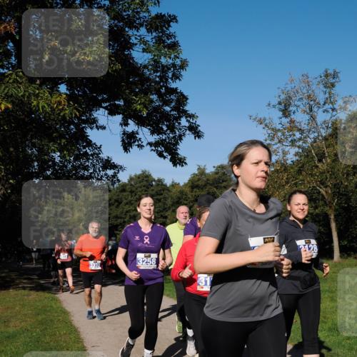 28.09.2025 - 33. Volkslauf durch das schöne Alstertal Fabian Wolf http://msf.ph/oto/8980818 28.09.2025 10:36:53 Laufen 332, 22, 3258, 31, 2128 meine-sportfotos.de