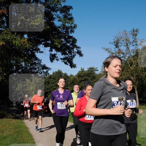 28.09.2025 - 33. Volkslauf durch das schöne Alstertal Fabian Wolf http://msf.ph/oto/8980819 28.09.2025 10:36:53 Laufen 3073, 2, 3258, 314, 342, 3128 meine-sportfotos.de
