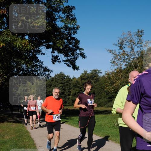 28.09.2025 - 33. Volkslauf durch das schöne Alstertal Fabian Wolf http://msf.ph/oto/8980823 28.09.2025 10:36:54 Laufen 3073, 3332, 313 meine-sportfotos.de
