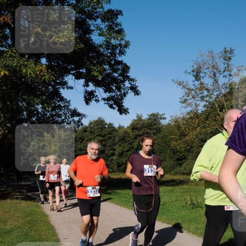 28.09.2025 - 33. Volkslauf durch das schöne Alstertal Fabian Wolf http://msf.ph/oto/8980824 28.09.2025 10:36:55 Laufen 3073, 13332, 3139 meine-sportfotos.de
