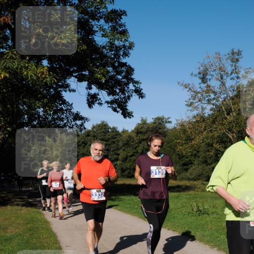28.09.2025 - 33. Volkslauf durch das schöne Alstertal Fabian Wolf http://msf.ph/oto/8980825 28.09.2025 10:36:55 Laufen 3073, 3332, 3139 meine-sportfotos.de