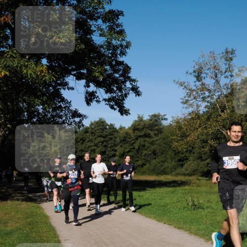 28.09.2025 - 33. Volkslauf durch das schöne Alstertal Fabian Wolf http://msf.ph/oto/8980909 28.09.2025 10:37:11 Laufen 3956 meine-sportfotos.de