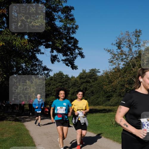 28.09.2025 - 33. Volkslauf durch das schöne Alstertal Fabian Wolf http://msf.ph/oto/8980958 28.09.2025 10:37:32 Laufen 3085, 984, 33 meine-sportfotos.de