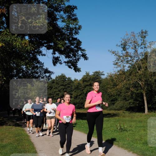 28.09.2025 - 33. Volkslauf durch das schöne Alstertal Fabian Wolf http://msf.ph/oto/8980990 28.09.2025 10:37:41 Laufen 2390, 3325, 352 meine-sportfotos.de