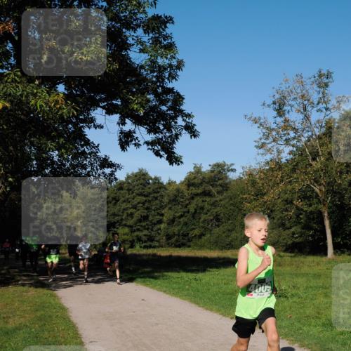 28.09.2025 - 33. Volkslauf durch das schöne Alstertal Fabian Wolf http://msf.ph/oto/8981198 28.09.2025 10:38:40 Laufen 4009 meine-sportfotos.de