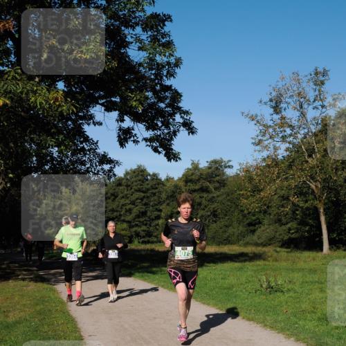 28.09.2025 - 33. Volkslauf durch das schöne Alstertal Fabian Wolf http://msf.ph/oto/8981230 28.09.2025 10:38:47 Laufen 3354, 3353, 4075 meine-sportfotos.de