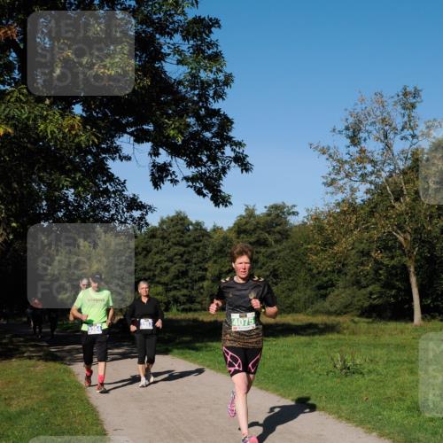 28.09.2025 - 33. Volkslauf durch das schöne Alstertal Fabian Wolf http://msf.ph/oto/8981231 28.09.2025 10:38:47 Laufen 3354, 3353, 4075 meine-sportfotos.de